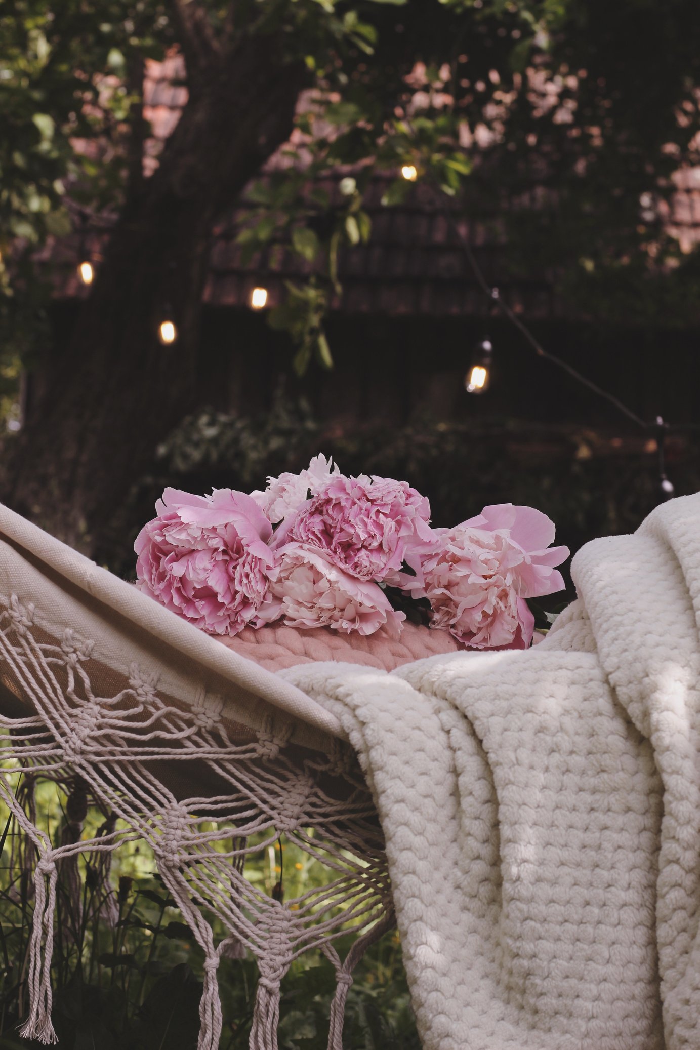 Pink Flowers on a Hammock 